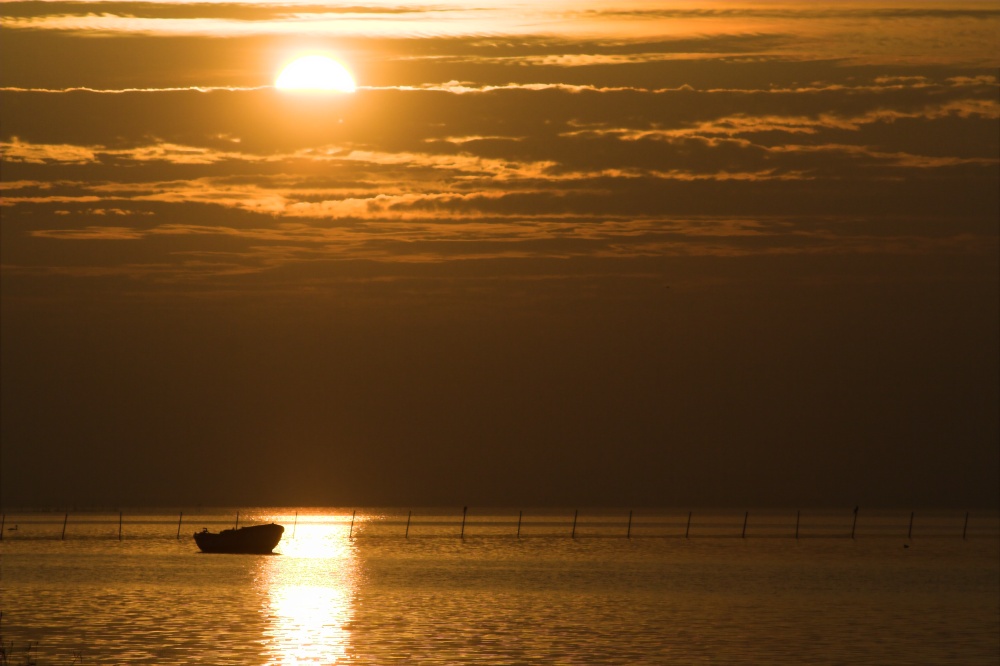 Morgens am Bodden 02