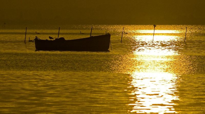 Morgens am Bodden 03