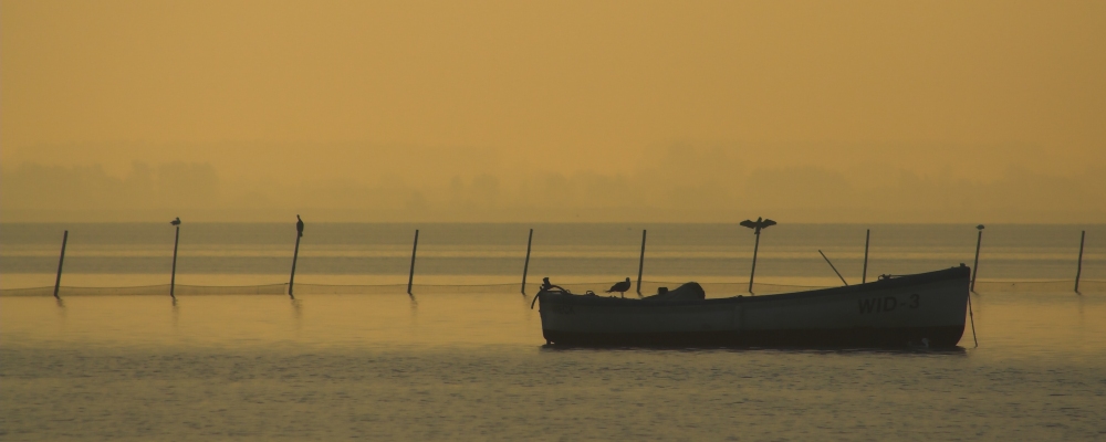 Morgens am Bodden 04