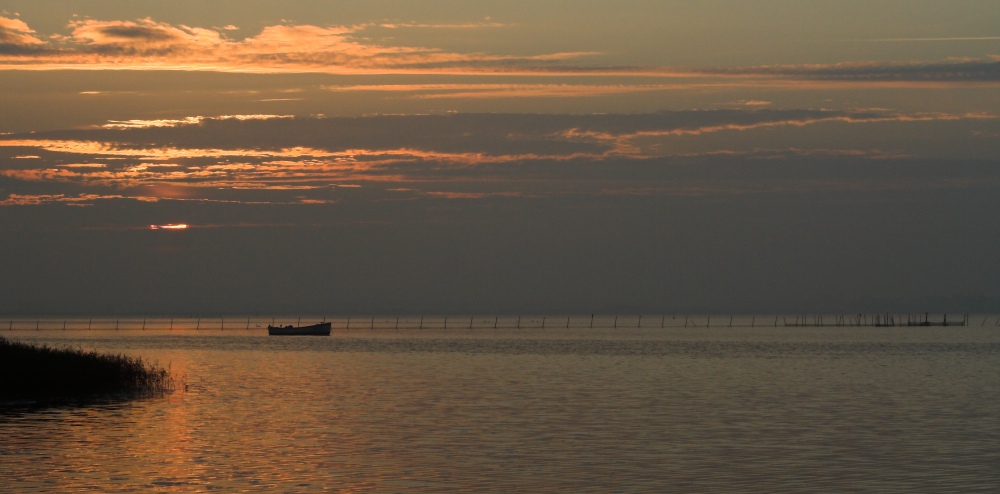 Morgens am Bodden 05