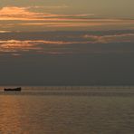 Morgens am Bodden 05