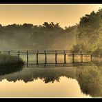 morgens am Bodden