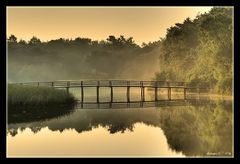 morgens am Bodden