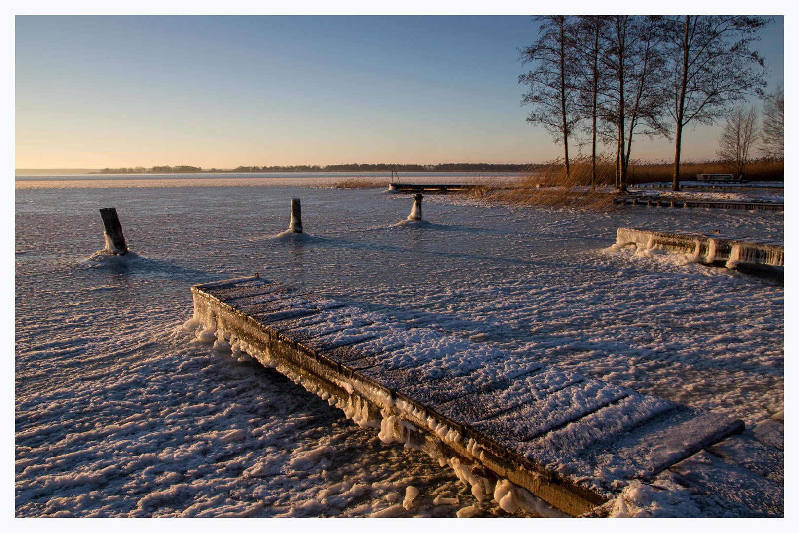 Morgens am Bodden