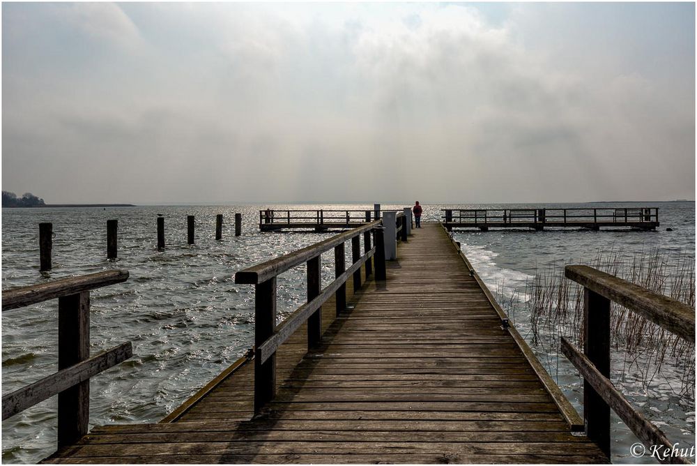 Morgens am Bodden