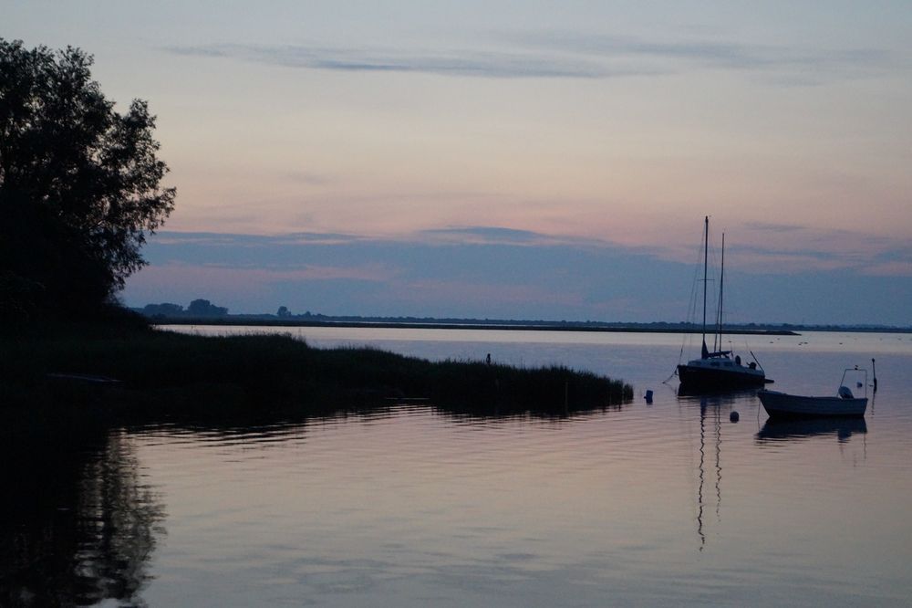 morgens am Bodden