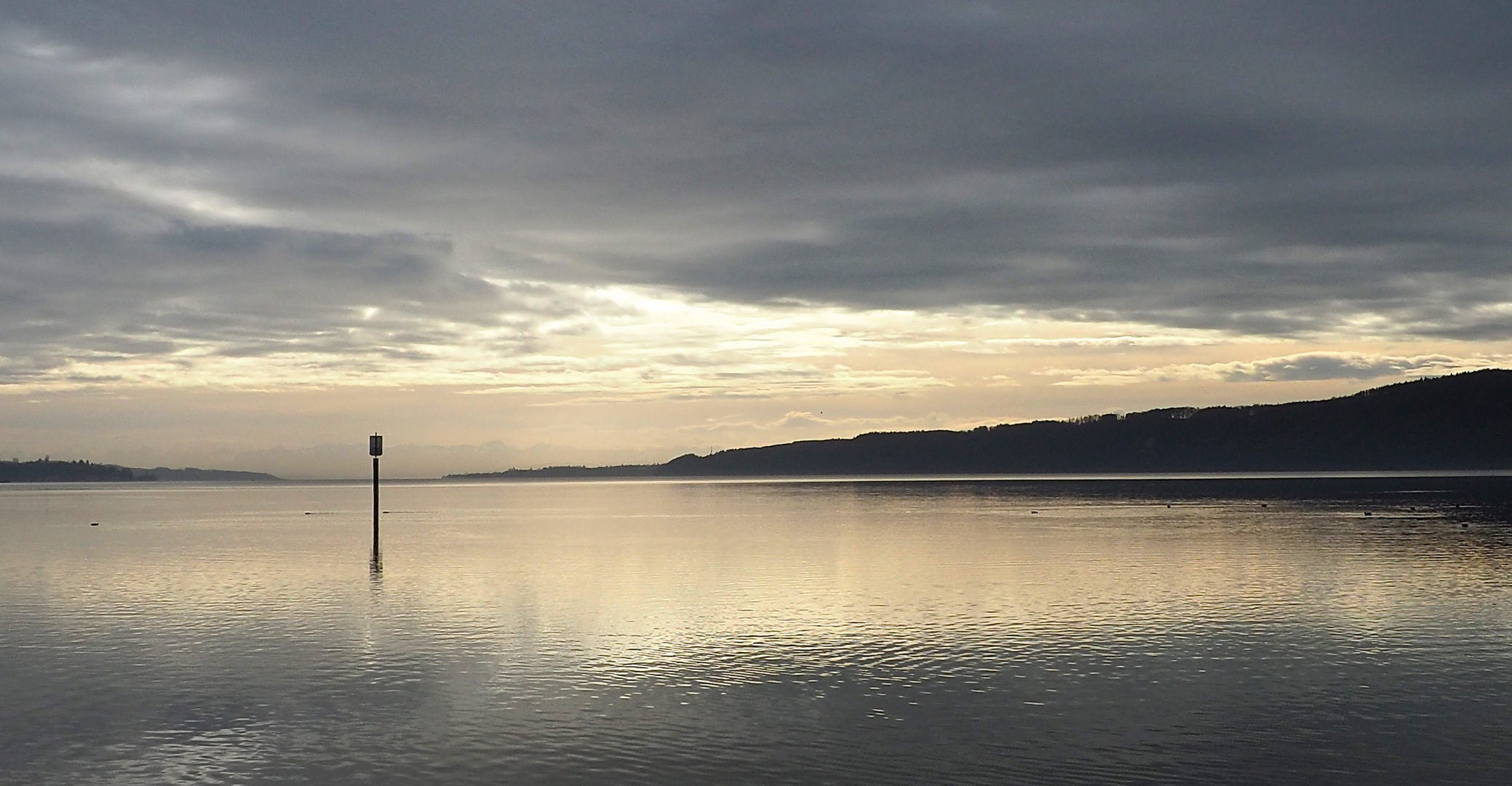 Morgens am Bodensee 1