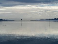 Morgens am Bodensee 2