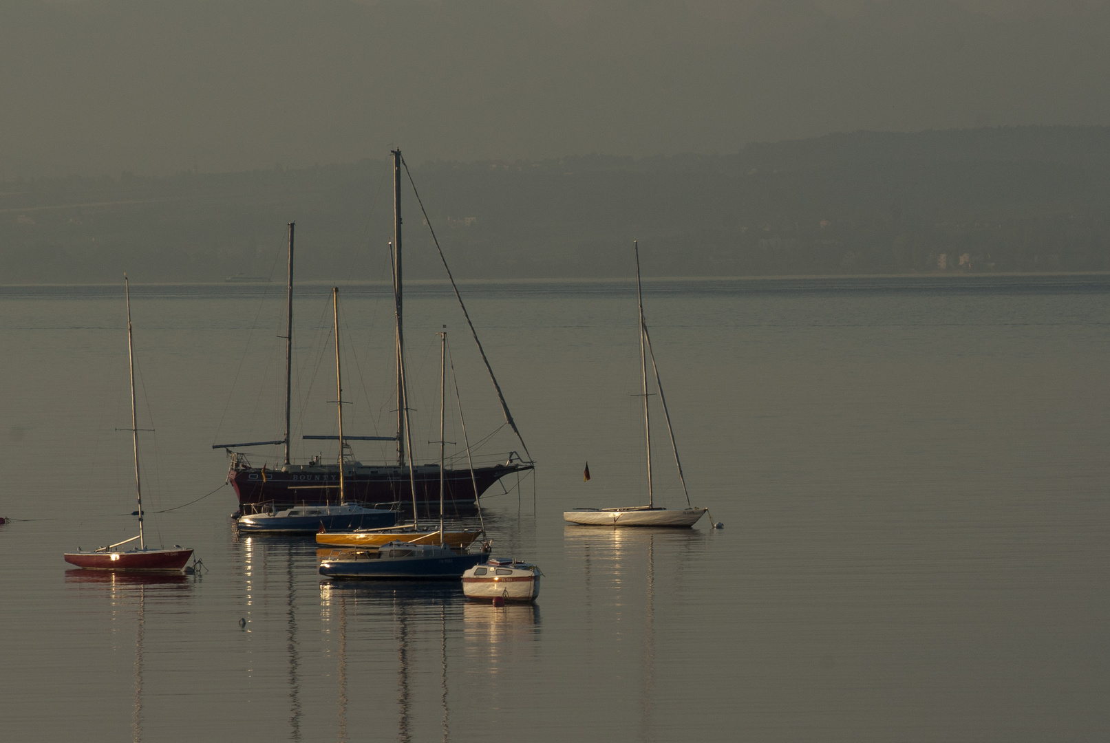 Morgens am Bodensee