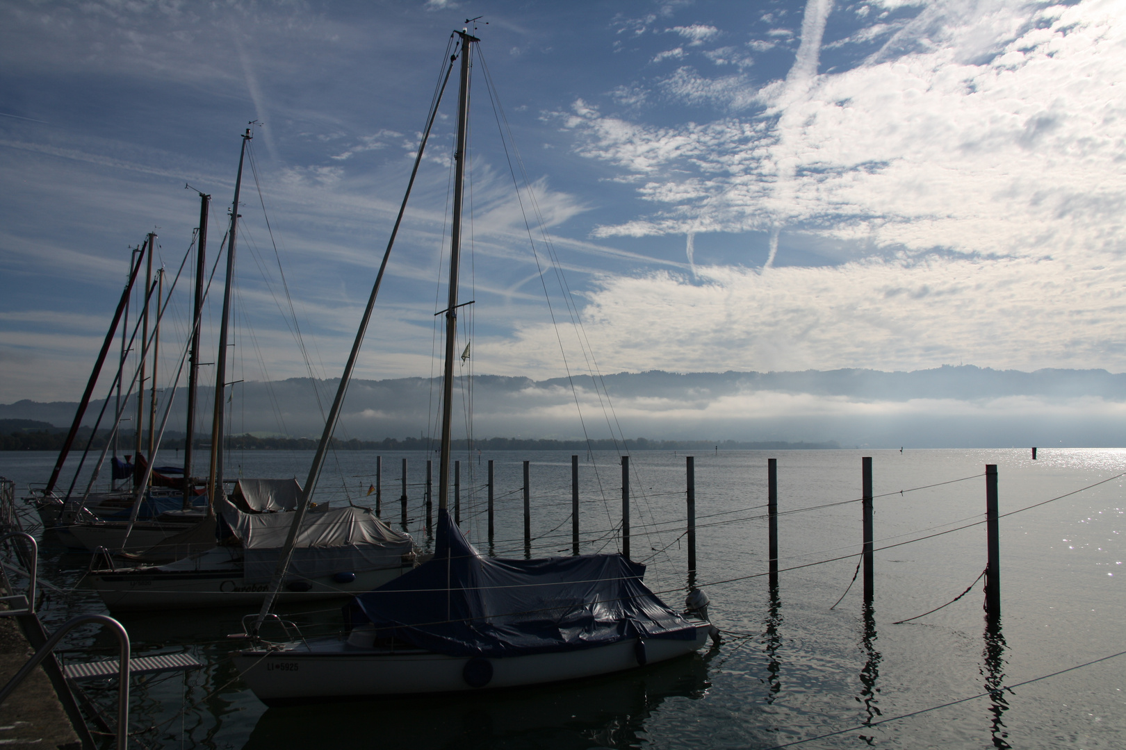 morgens am Bodensee