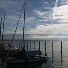 morgens am Bodensee