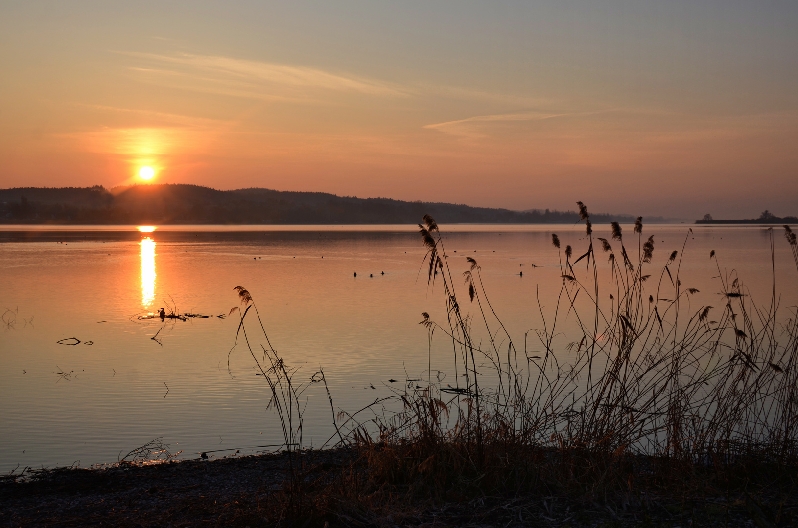 morgens am Bodensee