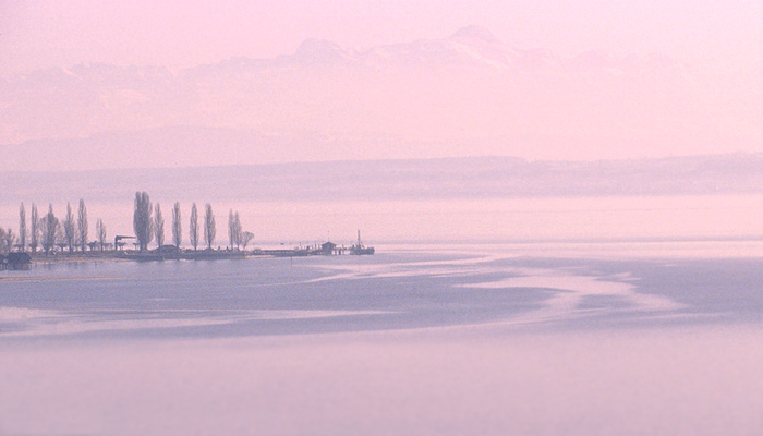 Morgens am Bodensee von Sönke H.