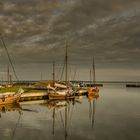 Morgens am Bodstedter Hafen