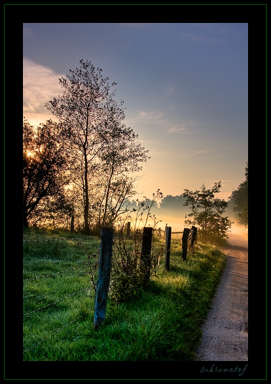 Morgens am Borner See ...