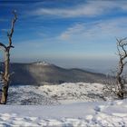 Morgens am Breitenstein II