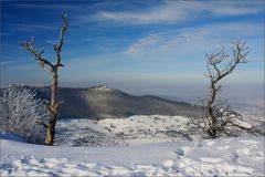 Morgens am Breitenstein II