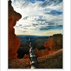 Morgens am Bryce Canyon