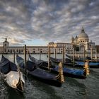 Morgens am Canal Grande