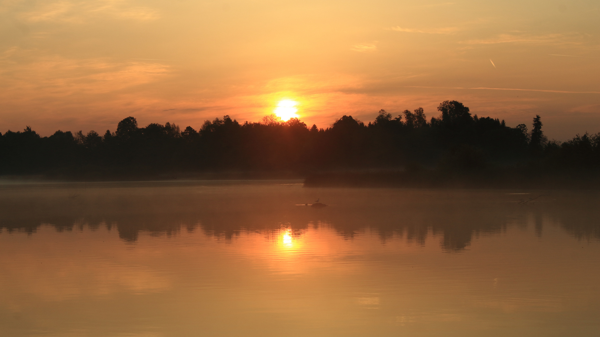 Morgens am Chiemsee 2