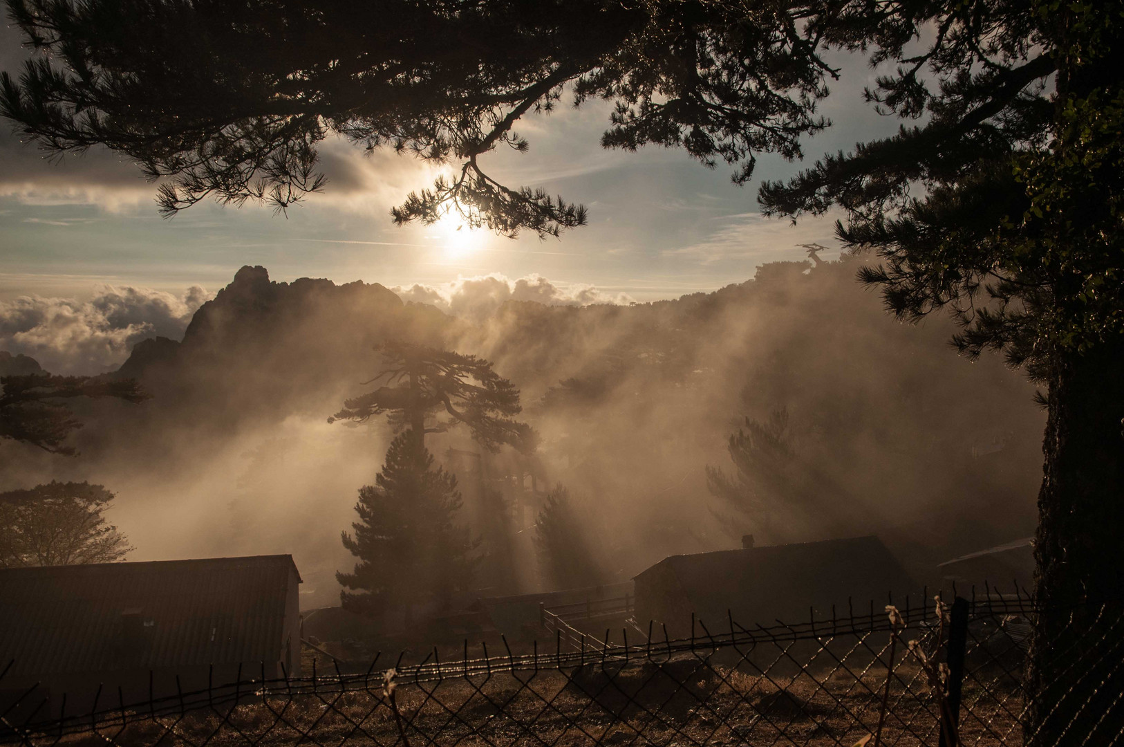 Morgens am Col de Bavella