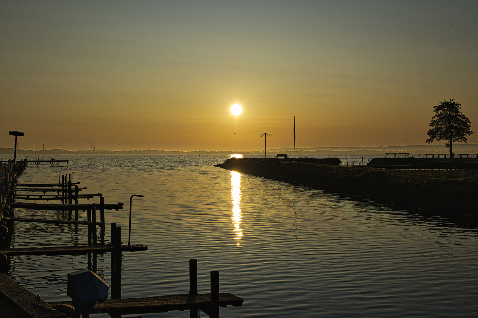 Morgens am Dümmer...