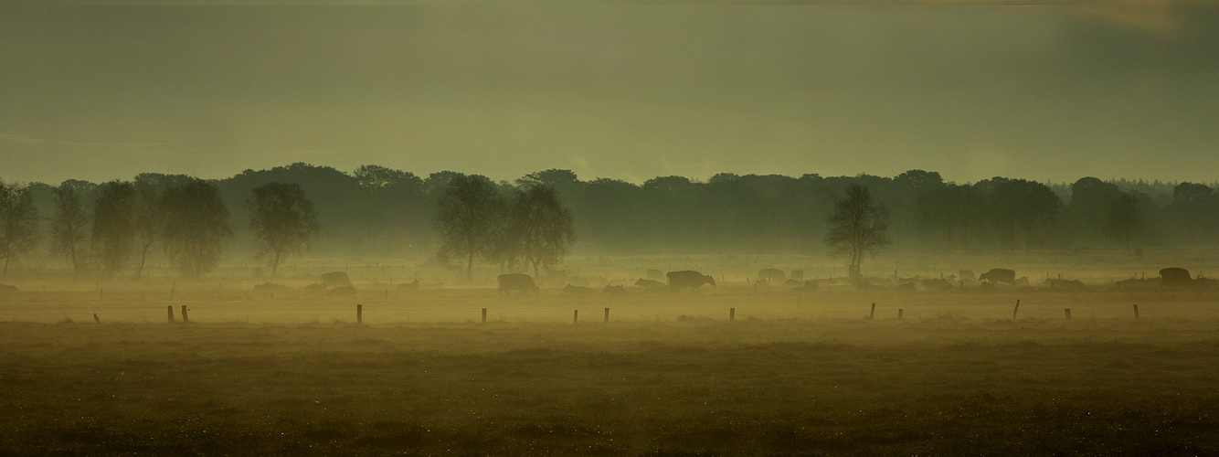 Morgens am Ende der Welt