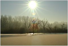 Morgens am Ewaldsee II...