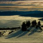 Morgens am Fanningberg