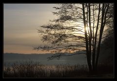 Morgens am Faulen See II