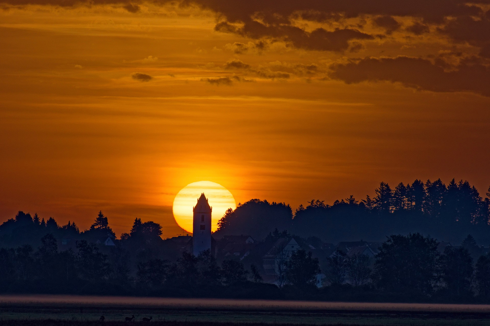 Morgens am Federsee