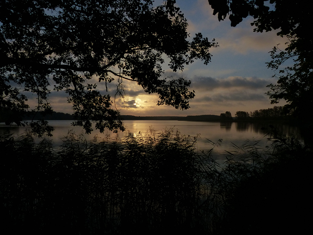 Morgens am Feisnecksee