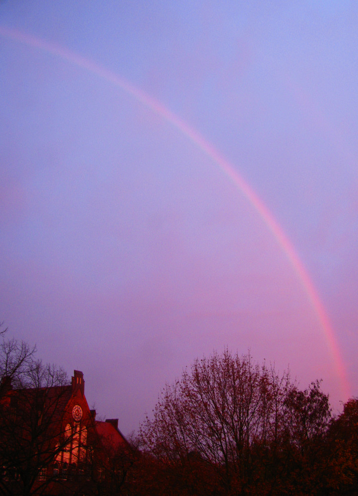 morgens am Fenster....