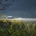 Morgens am Ferchensee