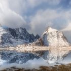 Morgens am Fjord.