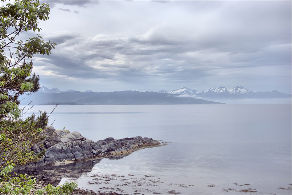 Morgens am Fjord