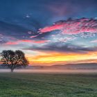 Morgens am Flugplatz in Gelnhausen