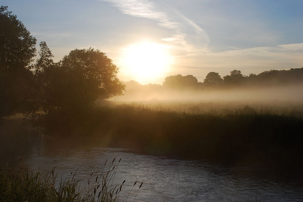 Morgens am Fluss