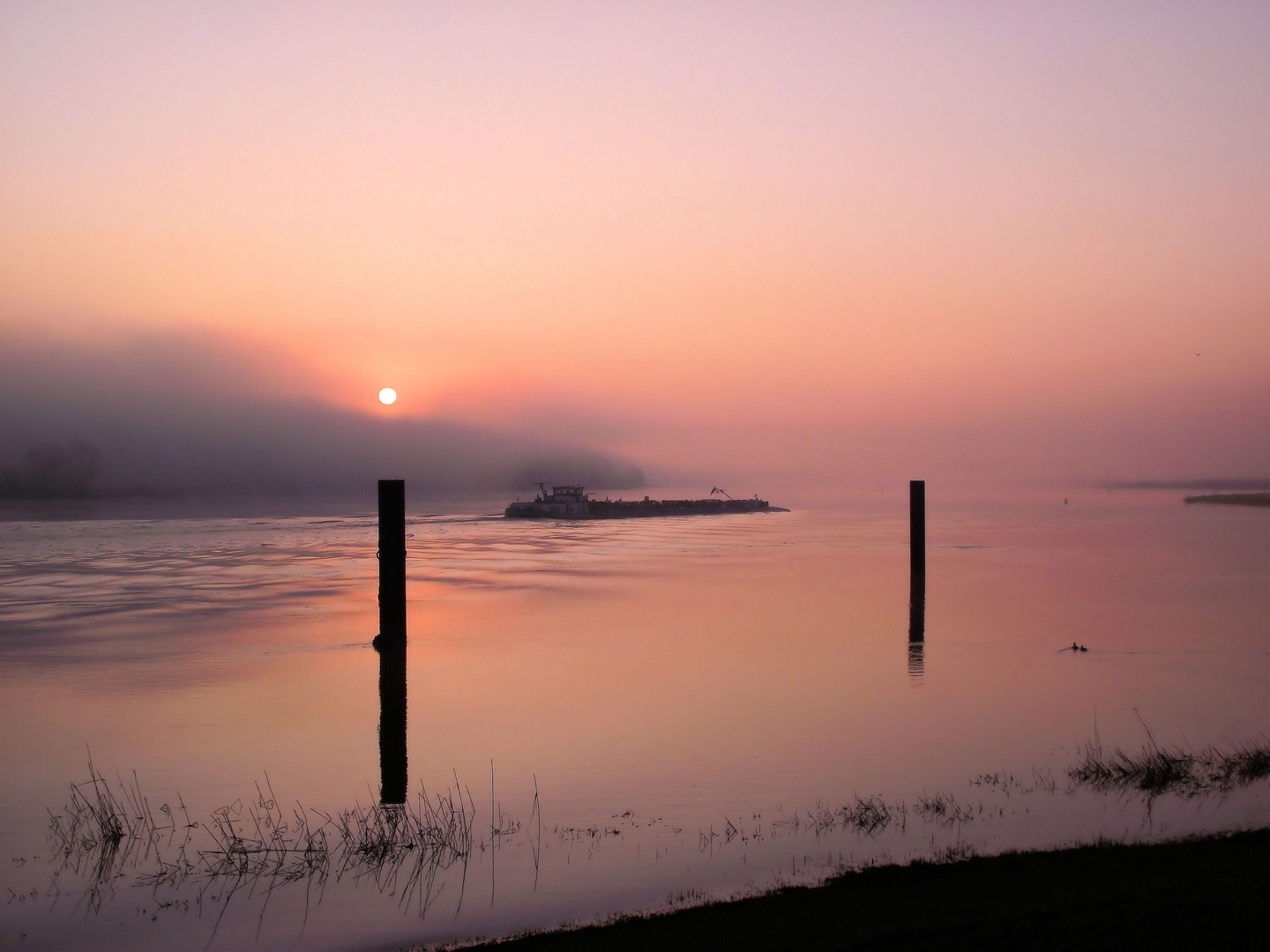 Morgens am Fluß 2