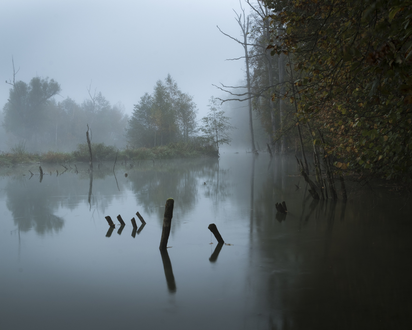 Morgens am Fluss