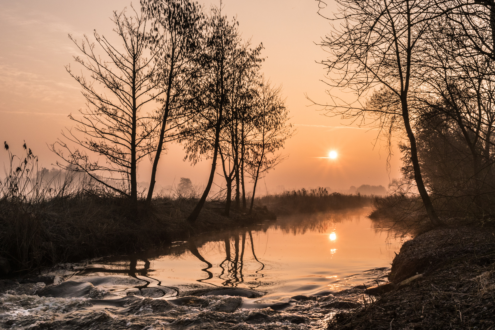 morgens am Fluss