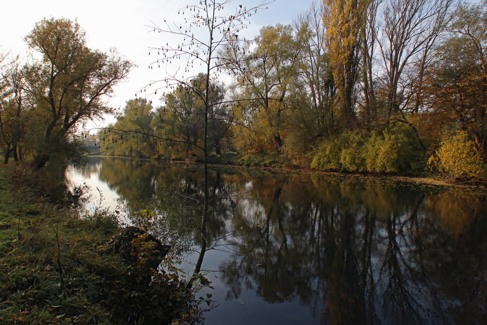 Morgens am Fluss