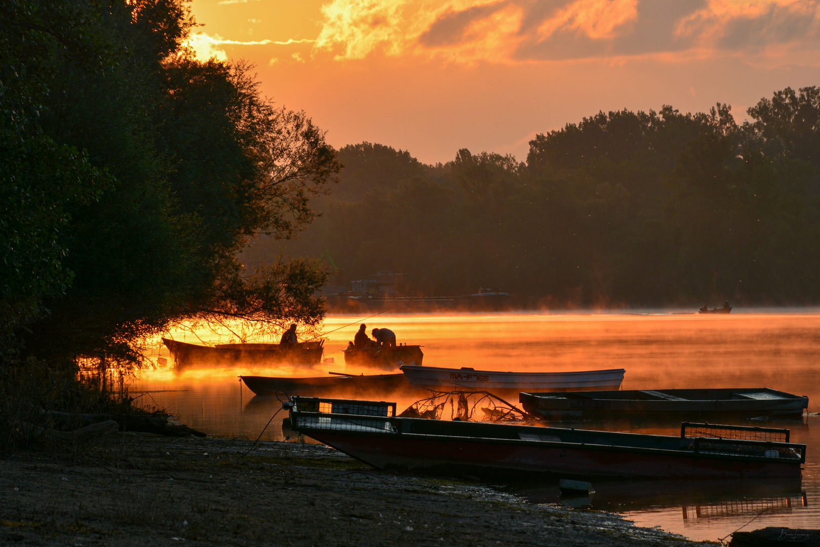 Morgens am Fluss