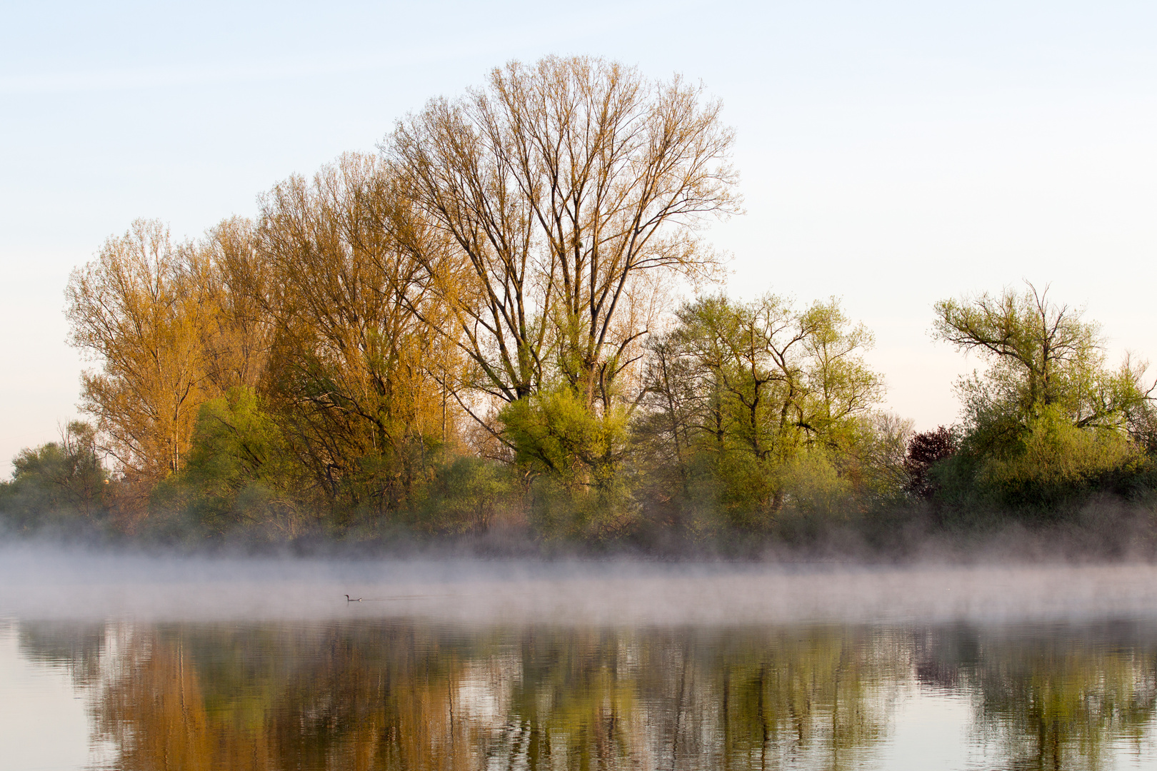 morgens am Fluss