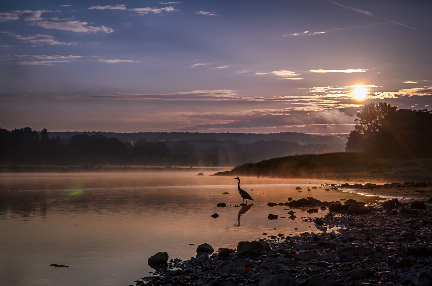 Morgens am Fluss - Dresden