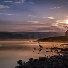 Morgens am Fluss - Dresden