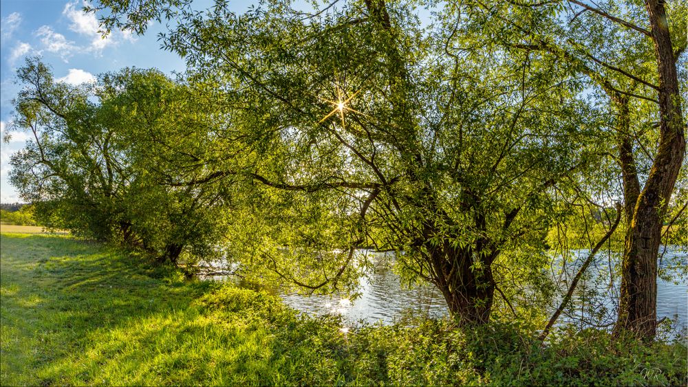 Morgens am Fluss entlang