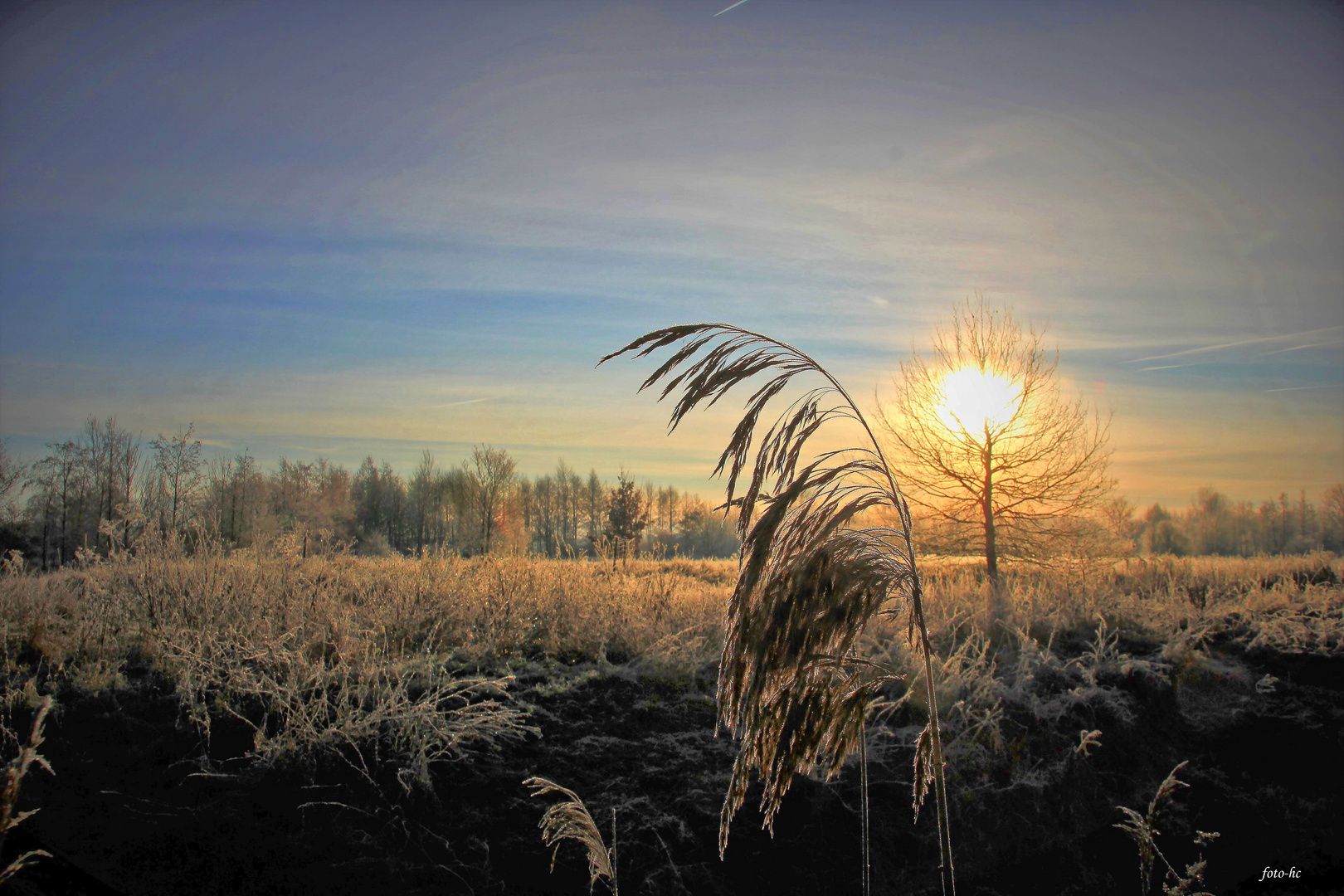 Morgens am Fluß