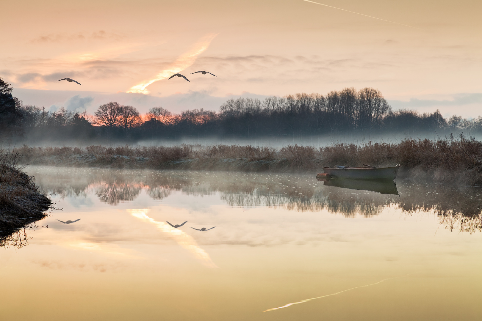 Morgens am Flussufer