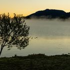 Morgens am Forggensee